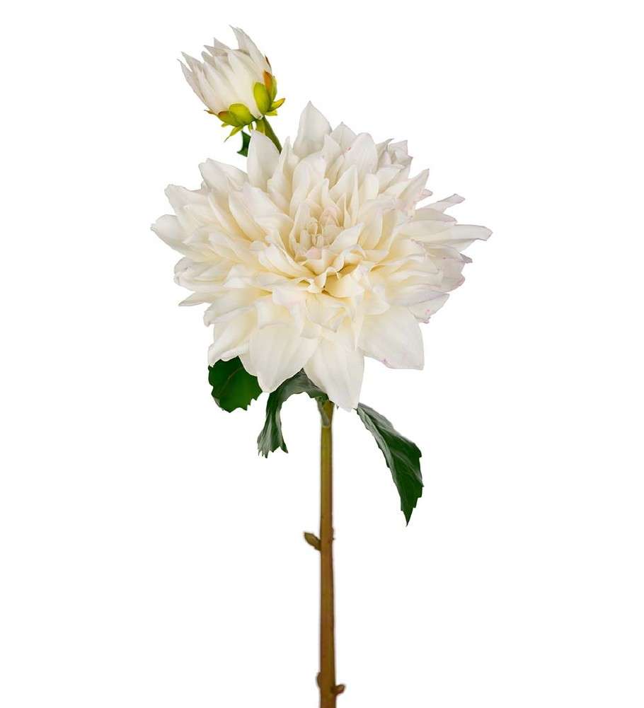 MR PLANT - DAHLIA - Hvit 70 cm