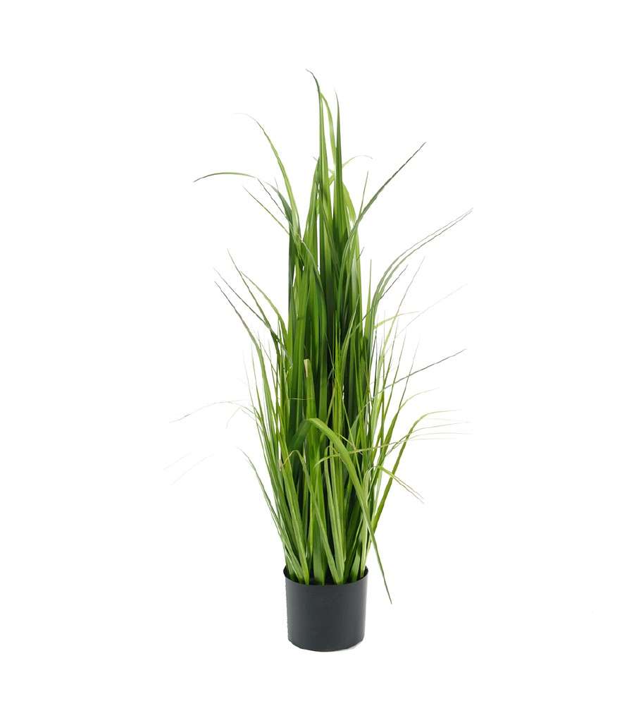 MR PLANT - GRESS - Grønn 110 cm