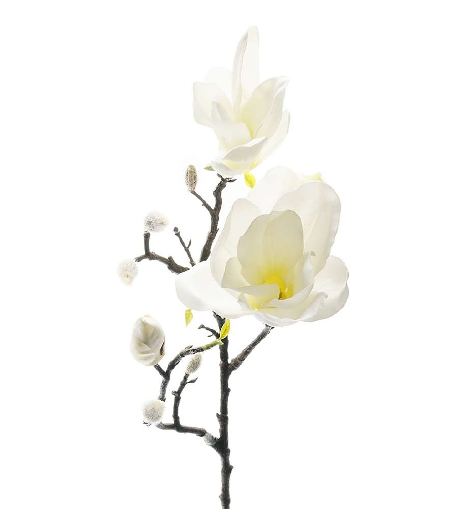 MR PLANT - MAGNOLIA - Hvit 60 cm