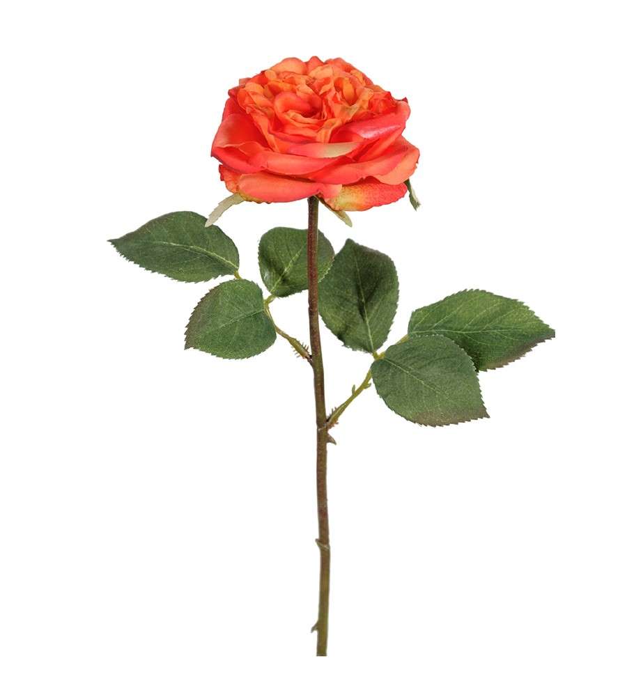 MR PLANT - ROSE - Oransje 36 cm