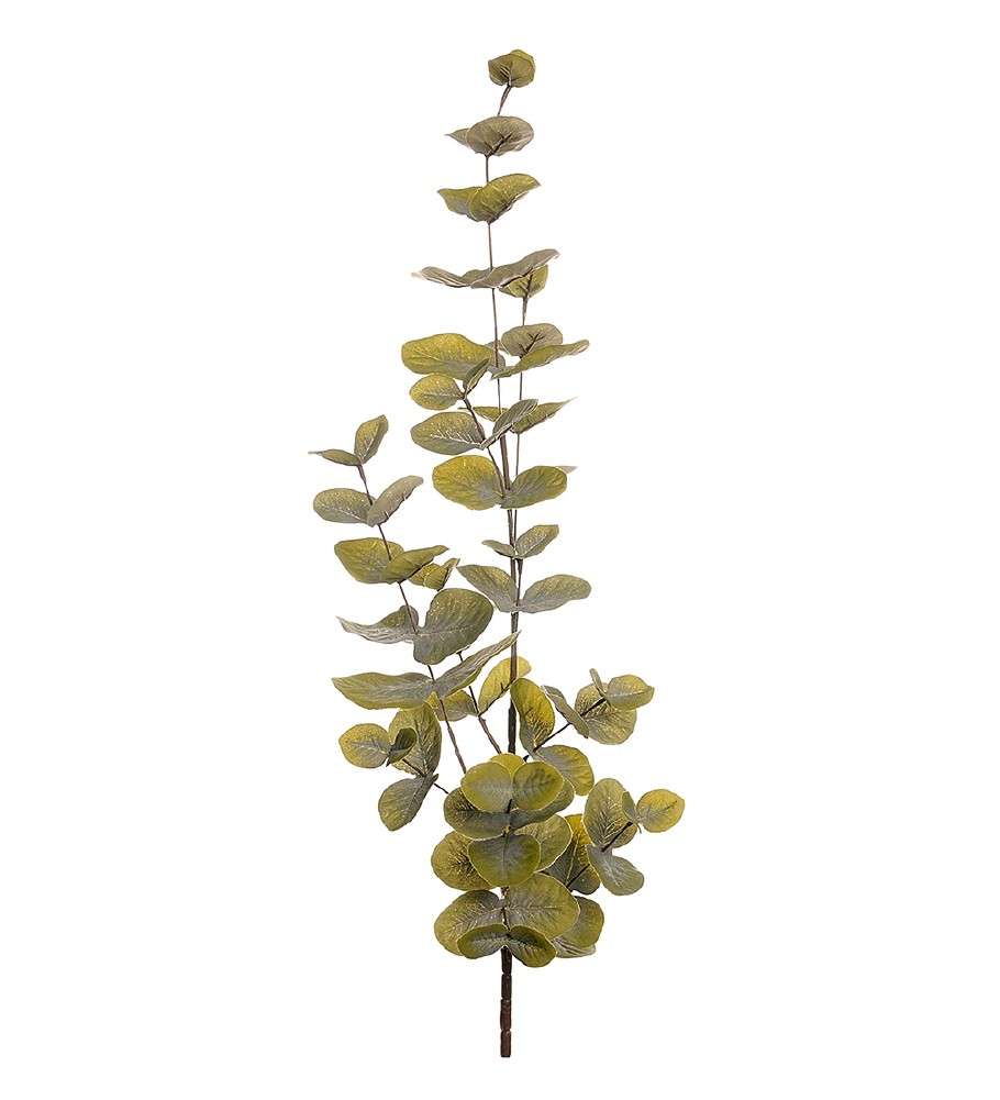 MR PLANT - EUKALYPTUS - Grønn 90 cm