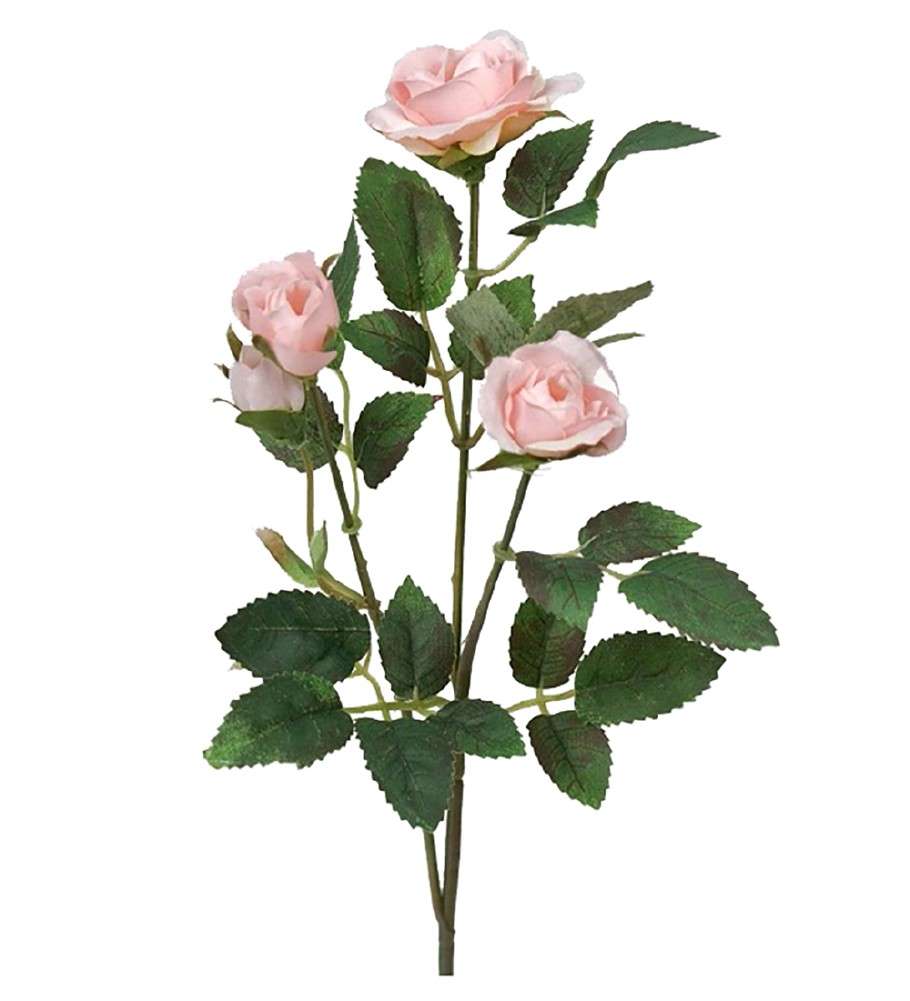 MR PLANT - ROSE - Rosa 27 cm