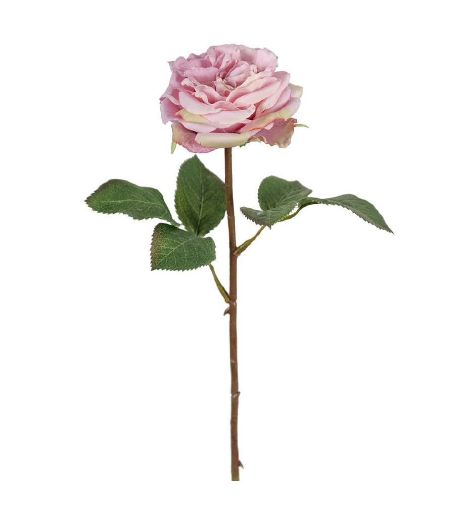 MR PLANT - ROSE - Lilla 36 cm