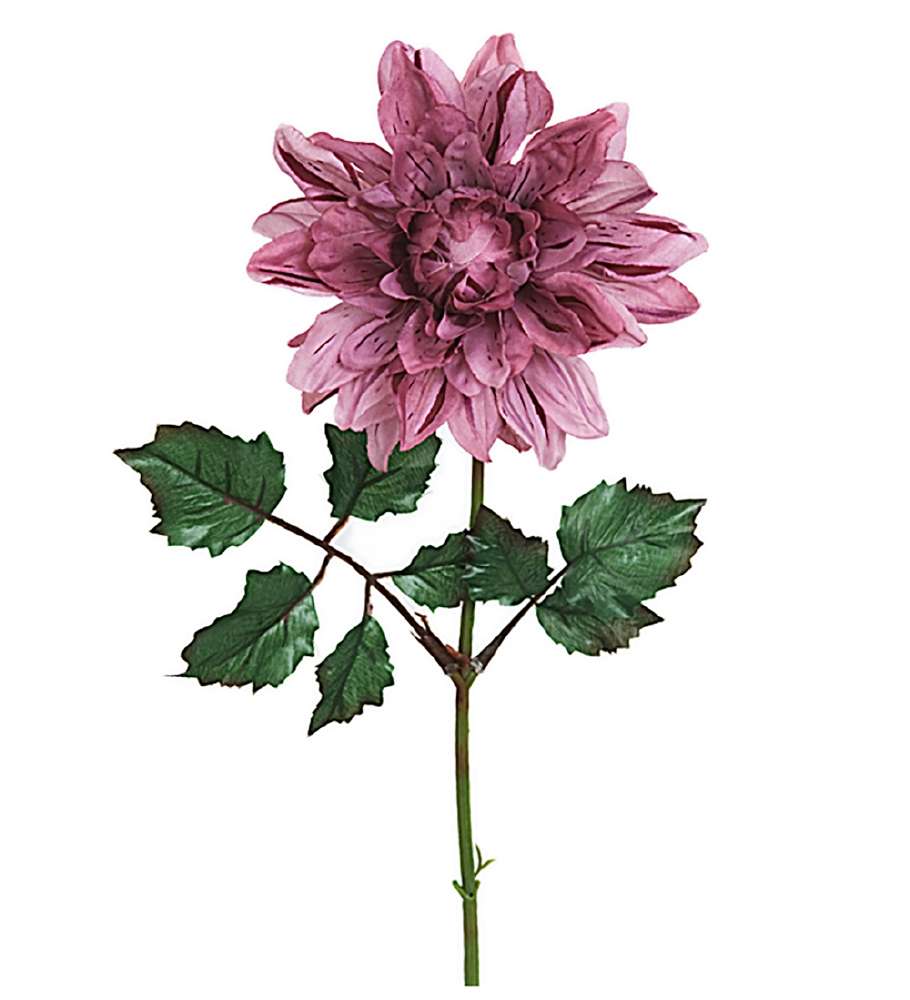 MR PLANT - DAHLIA - Lilla 45 cm