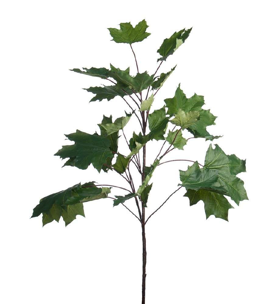 MR PLANT - LØNNETRE - Grønn 95 cm